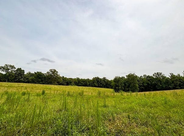 496 County Road 496, Lexington, AL 35648
