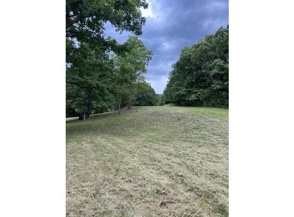 000 Vin Villa, Forsyth, MO 65653