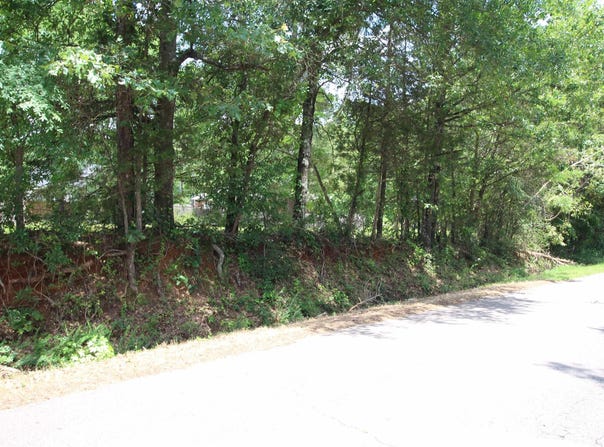 Lot 19 Round Rock Road, Dover, AR 72837