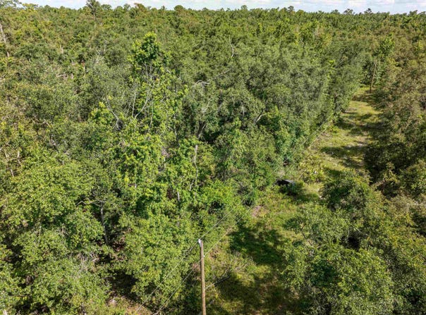 xyz NW 22nd Terrace, Jasper, FL 32052