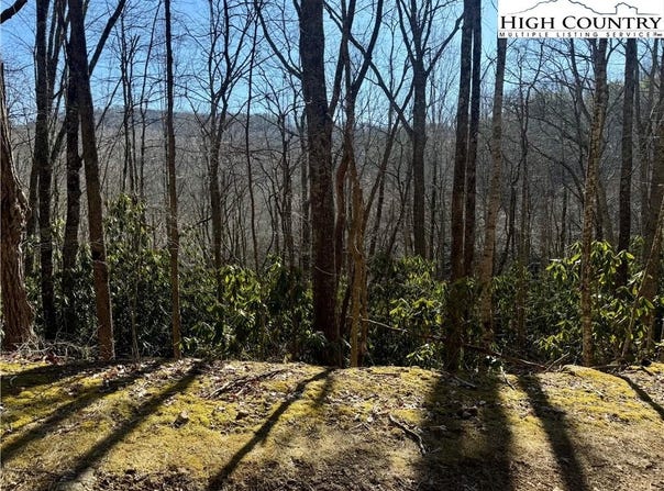 Gumtree Road, Beech Mountain, NC 28604