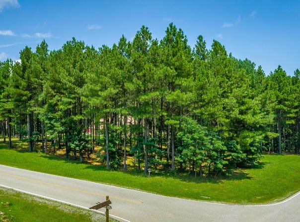 River Bluffs Drive lot: Rb74, Jasper, TN 37347