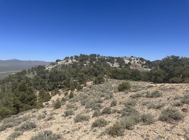 009-37G-002, Montello, NV 89830