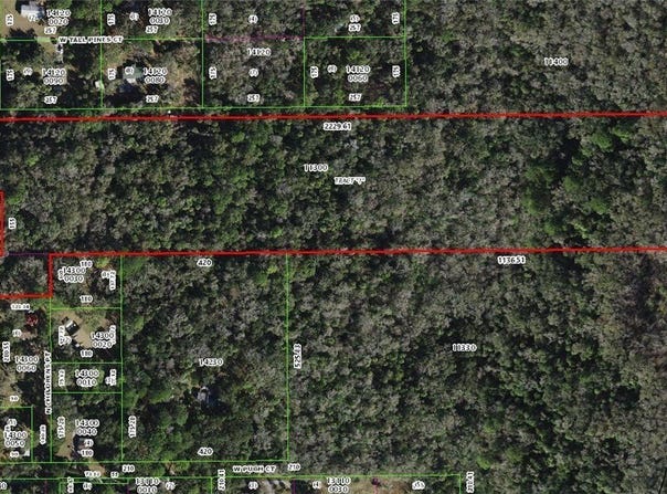 3897 N Citrus Avenue, Crystal River, FL 34428
