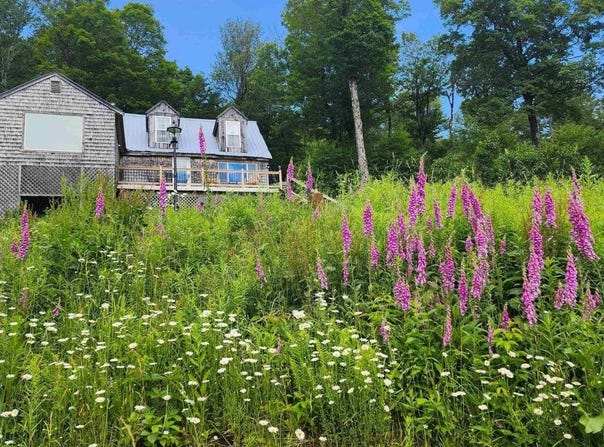 104 Johnny Cake Hill Lane, Readsboro, VT 05350