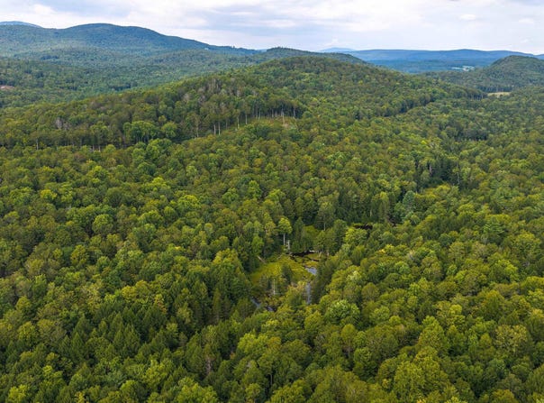 Pratt Bridge Road, Jamaica, VT 05143