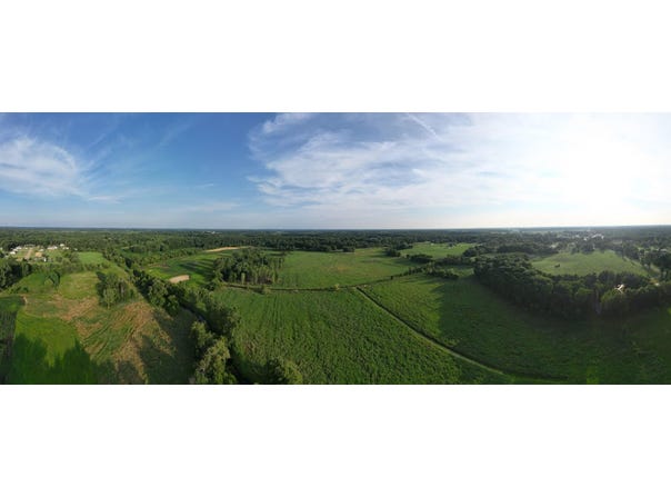 0 Green Road, Stockbridge, MI 49285