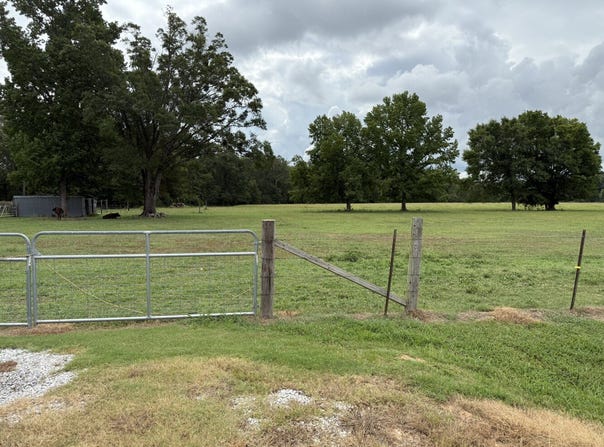 1402 Hwy 854, Delhi, LA 71232