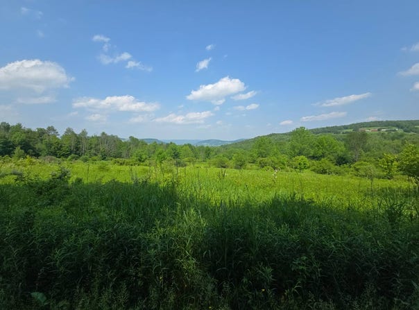 0WP Town Line Rd, McGraw, NY 13101
