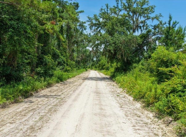 Vacant NE Bayberry Street, Madison, FL 32340