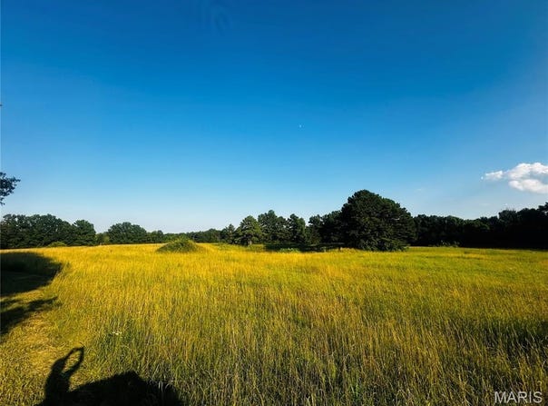 Tract 11a Audrain Rd 935, Mexico, MO 65265