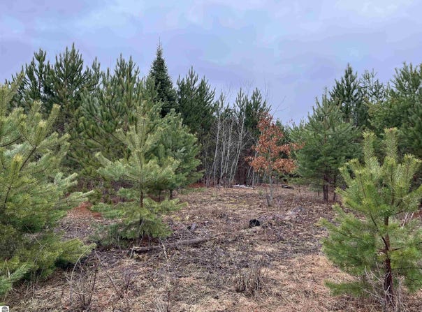 10299 Levi Lane, Kingsley, MI 49649