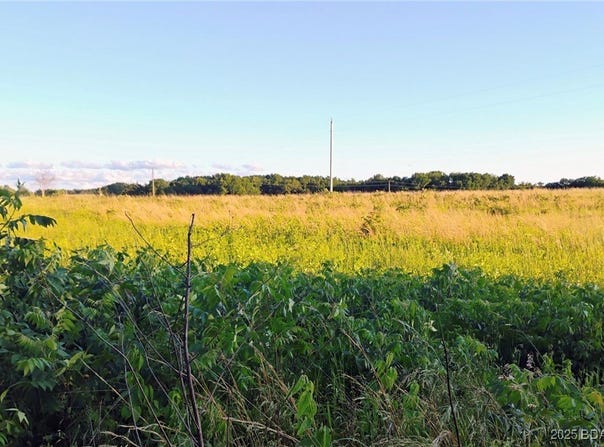 0 Airport Road, Iberia, MO 65486
