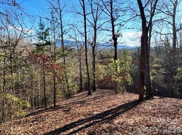 N Coast Drive lot: 17-4, Mill Spring, NC 28756