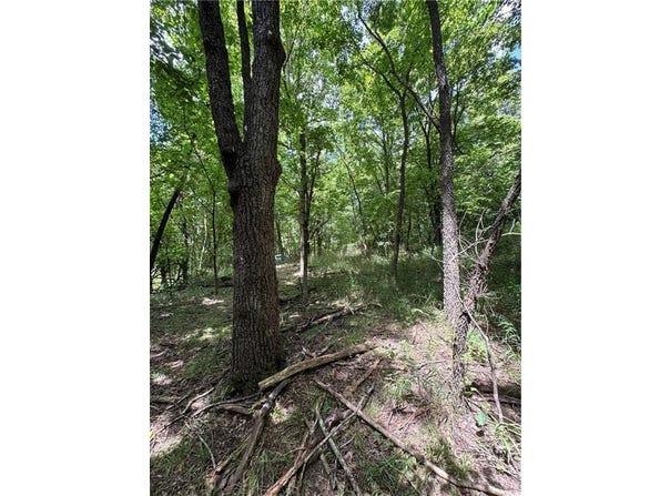 TBD2 Gum Springs  RD, Parthenon, AR 72666