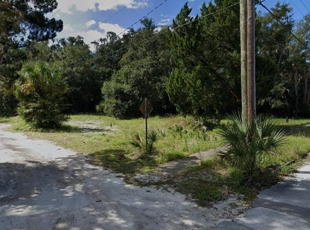 1011 CARR Street, Palatka, FL 32177