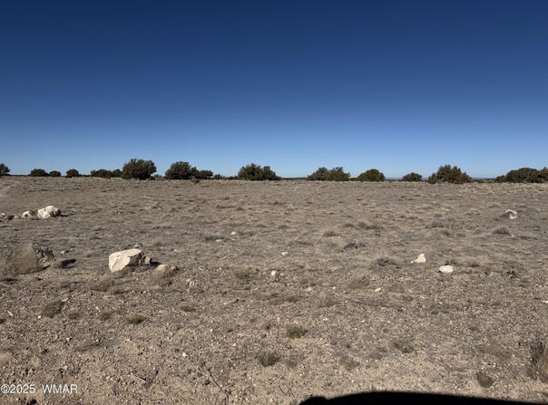 TBD 203-67-011, St. Johns, AZ 85936