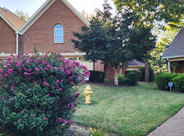 2415 Royal Fern Trail, Chattanooga, TN 37421