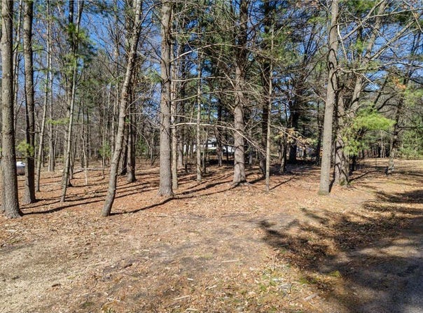 Tbd Montgomery Road, Hixton, WI 54635