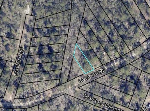 LT 95G River Trails, Naylor, GA 31641