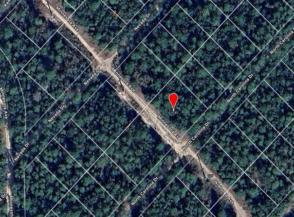 118 N CAROLINA DRIVE, SATSUMA, FL 32189