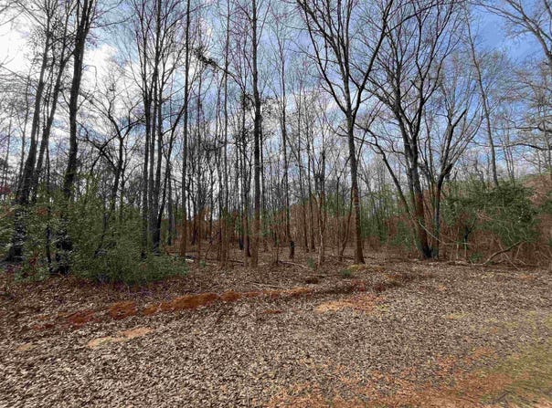 Tract 6 Venus Rd, Gladewater, TX 75647