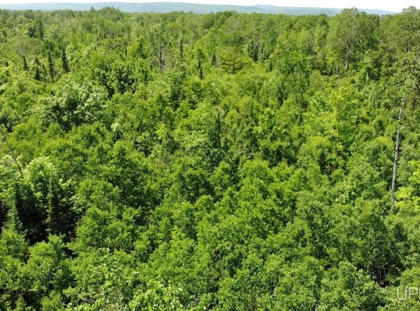 TBD 1 Norwich, Ewen, MI 49925
