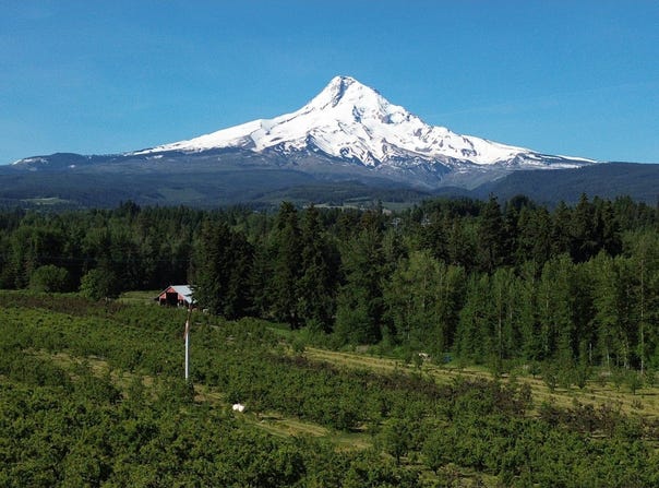 6765 COOPER SPUR RD, Mt Hood Prkdl, OR 97041