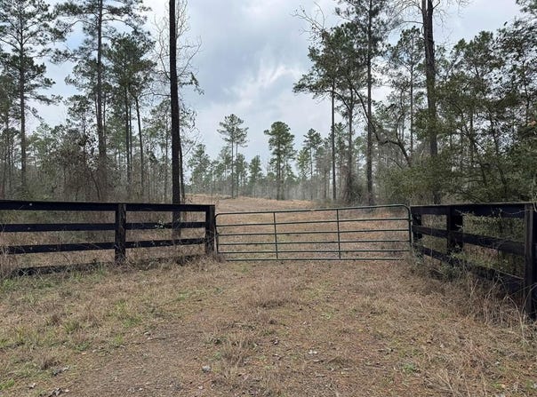 PID 28084 County Divide Road, Pineland, TX 75968