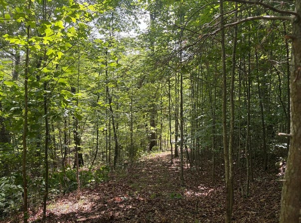 Deep Woods Drive lot: 202, Dunlap, TN 37327