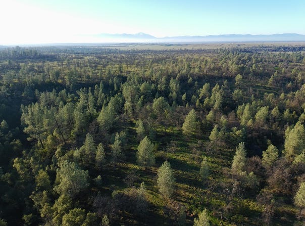 Buffalo Drive, Anderson, CA 96007
