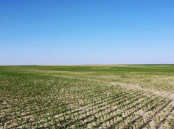 TBD Road G, Syracuse, KS 67878