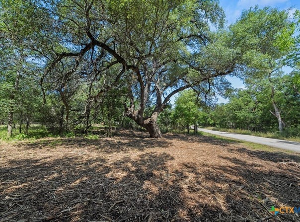 240 Caney Creek Road, New Braunfels, TX 78130