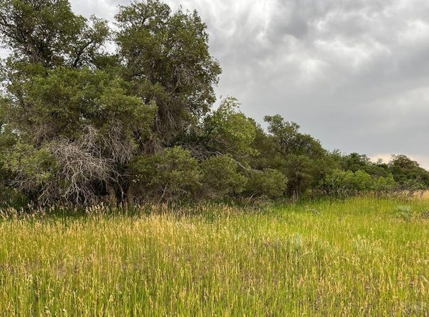 Barry Court, Colorado City, CO 81019