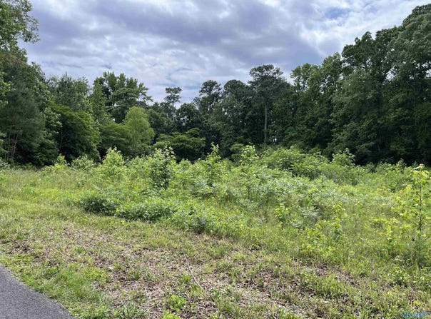 Lot #13 Country Cove Road, Crossville, AL 35962