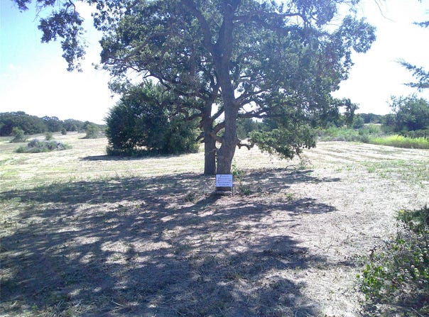 Tr 2 Border Street, Montague, TX 76251
