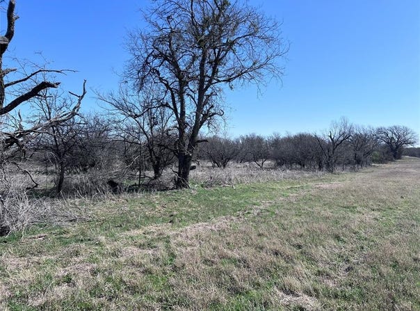 22250 Farm to Market 2156, Dublin, TX 76446