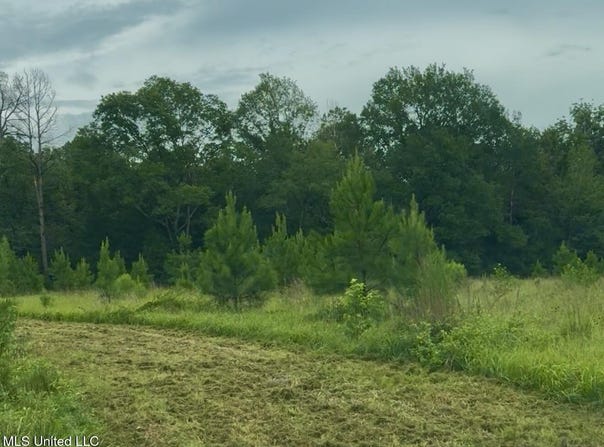 Us-51, Crystal Springs, MS 39059