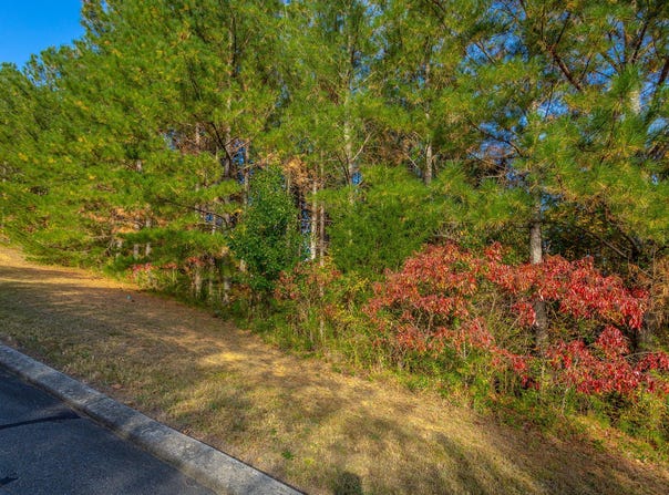 128 Cherokee Ridge Drive, Ocoee, TN 37361