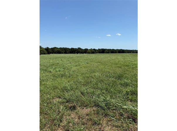19774 FM 47, Wills Point, TX 75169