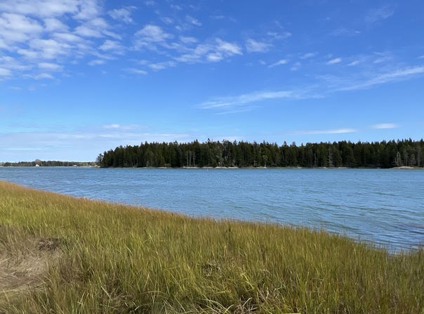 Pyne Cove Road lot: #3, Steuben, ME 04680