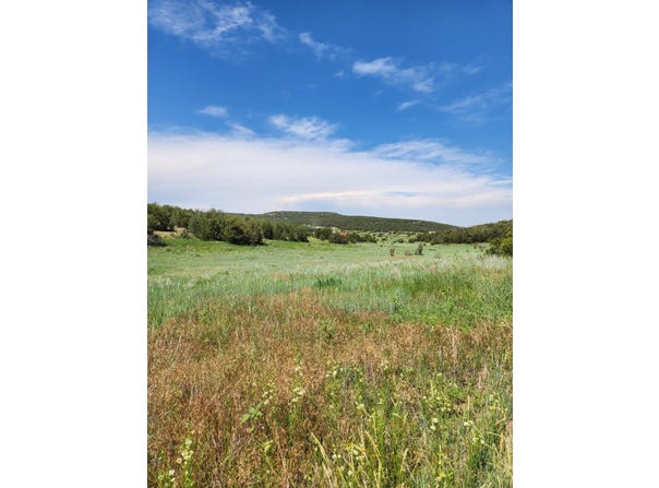 Escalante Road, Edgewood, NM 87015