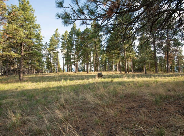Leaning Tree Lane, Clancy, MT 59634