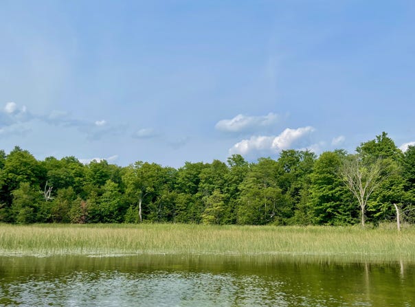 403 GUENTHER RIDGE, GAYLORD, MI 49735