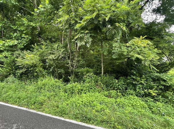 Tbd Drill Road, Honaker, VA 24260