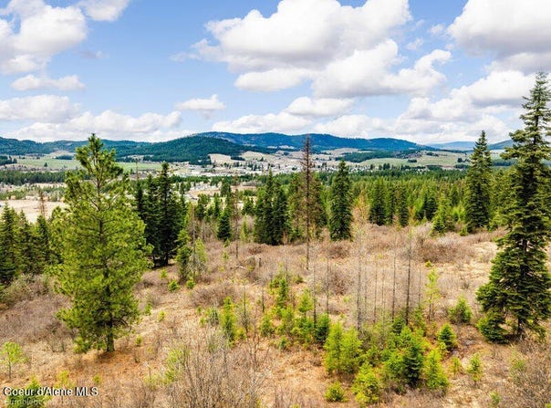 497 Thimbleberry Lane, Plummer, ID 83851