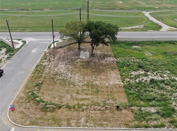 1008 Cloud 9 Lane, Edinburg, TX 78541