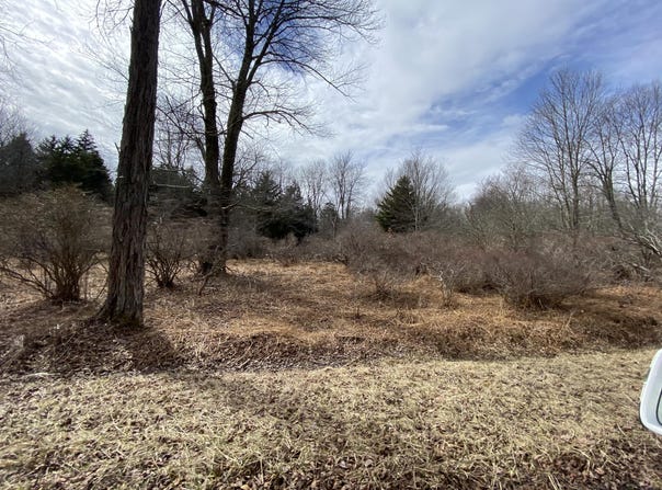 908 Wadi Road W, Pocono Lake, PA 18347