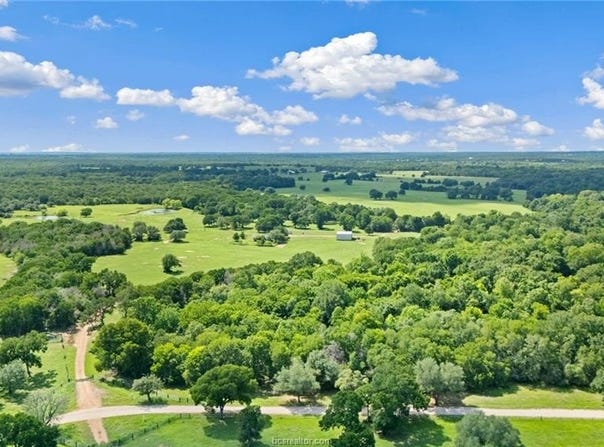 1010 St Delight Road, Paige, TX 78659