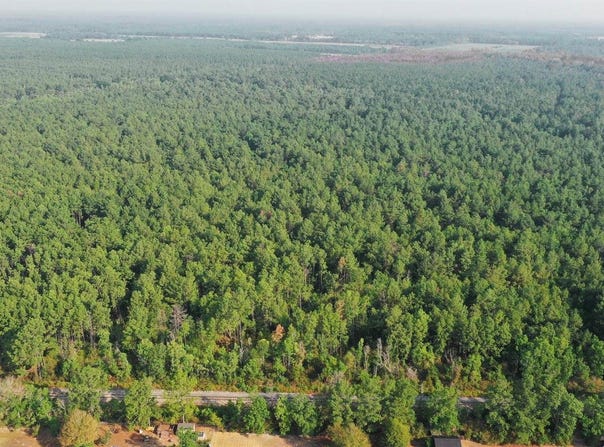 Planer Mill Rd, DeRidder, LA 70634